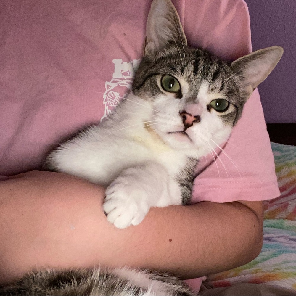 Meet your Posher, Madison